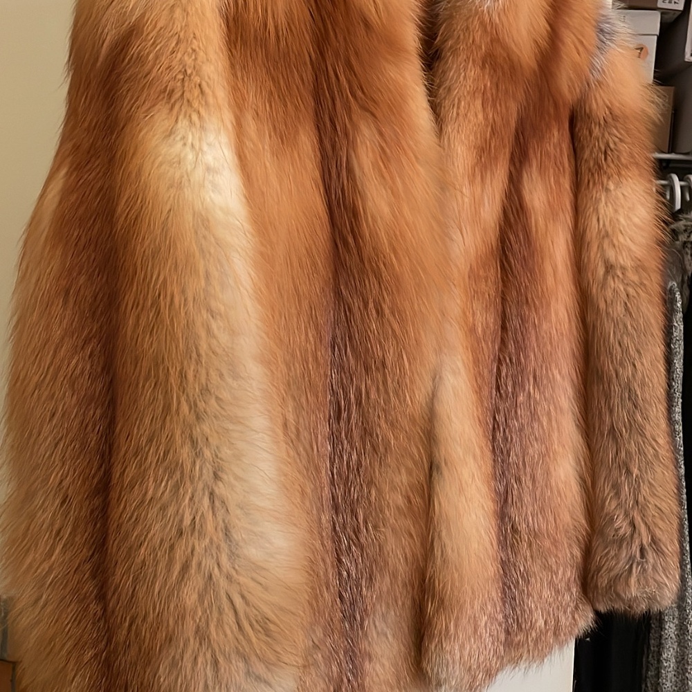 Red Fox - Picture 2 of 5